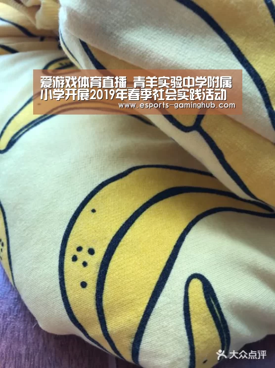爱游戏体育直播_青羊实验中学附属小学开展2019年春季社会实践活动(图1) 爱游戏下载