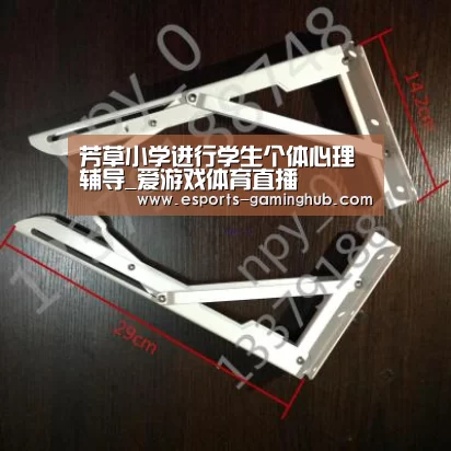 足球即时比分
