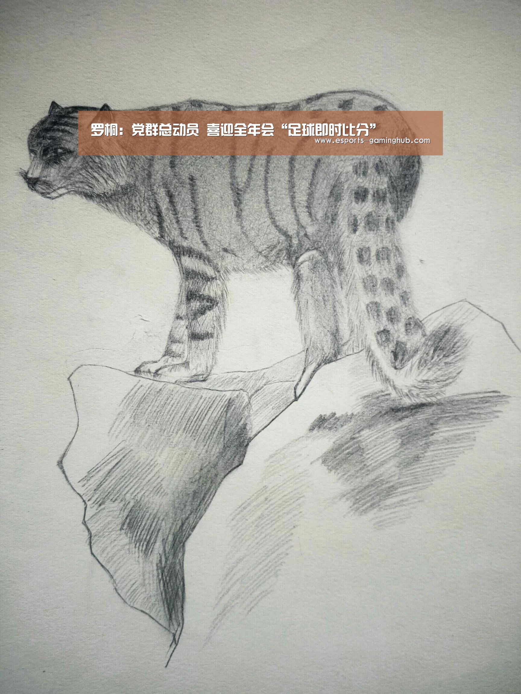 爱游戏下载
